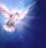 dove